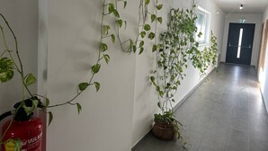 En gang med plantekrukker og brandslukker.