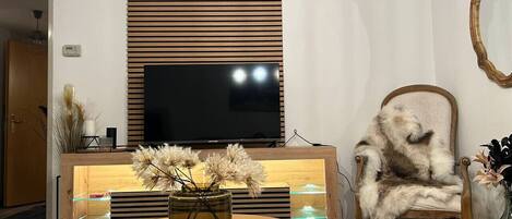 Fernseher