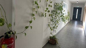 Käytävällä on ruukkukasveja, palosammutin ja käytävän päässä ovi.