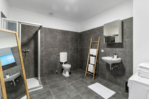 Une salle de bain moderne équipée d’une douche, de toilettes, d’un lavabo et d’un miroir.