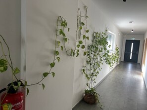 Un pasillo con plantas en macetas, un extintor y una puerta al final.