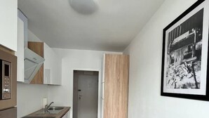A modern kitchen with a built-in oven, a microwave, and a sink. - FarawayHomes Studio Vienna #H1 (Vienna)