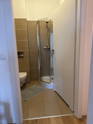 Ein Badezimmer mit einer Duschkabine, einer Toilette und einem kleinen Teppich.