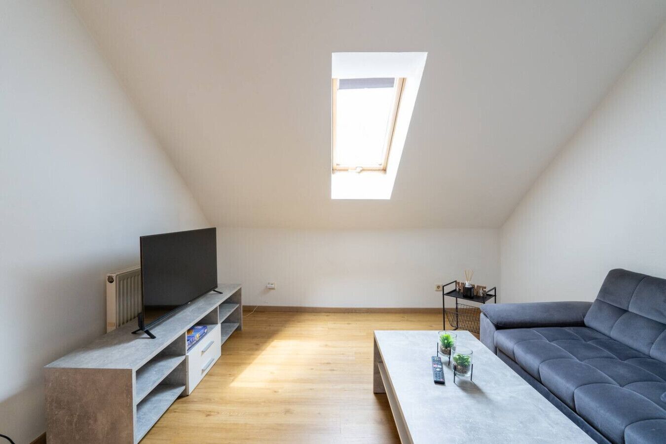 Fernseher