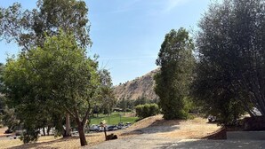 A parking lot with trees and a hill in the background.