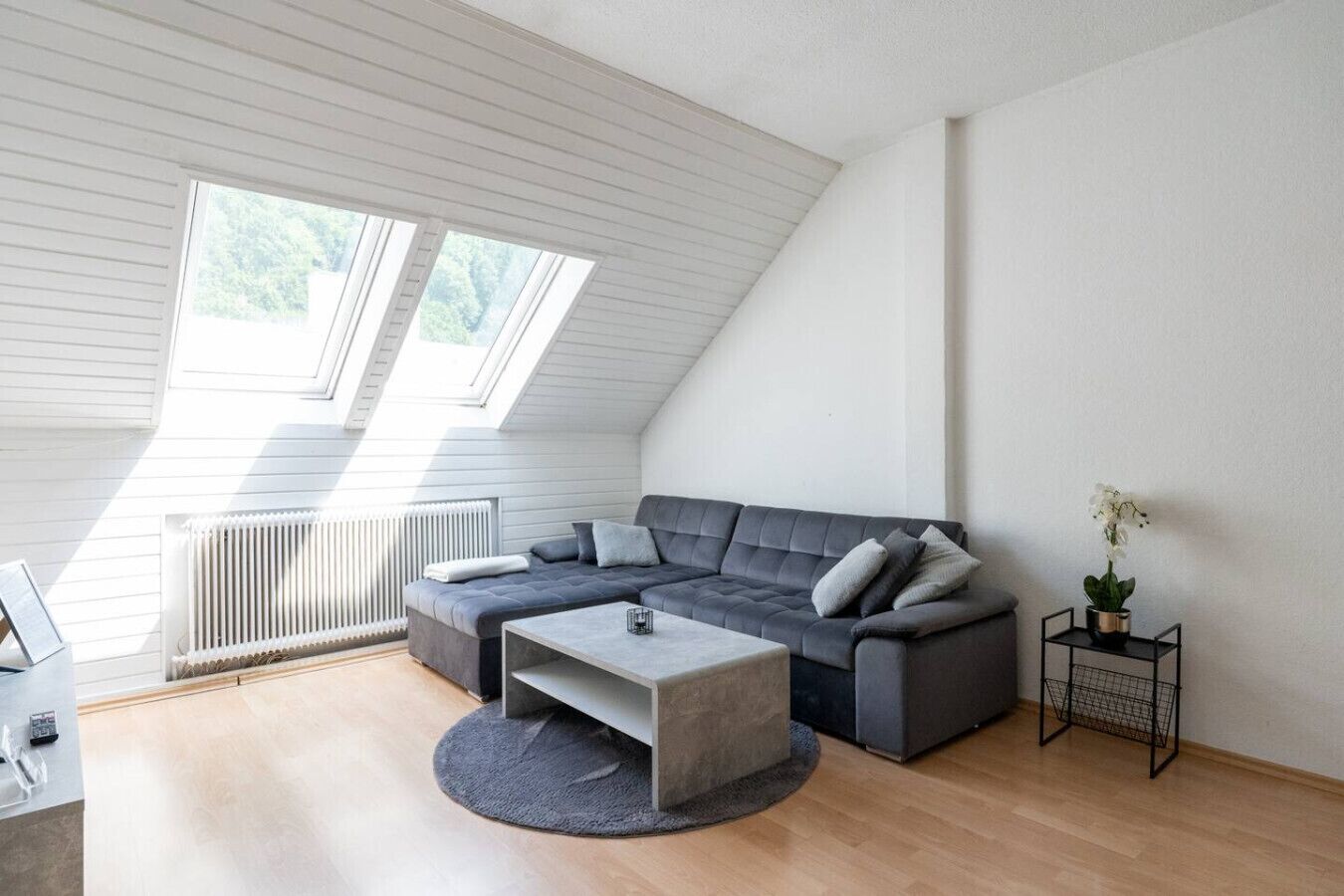 Fernseher