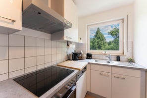 Frigorífico, microondas, horno y placa de cocina