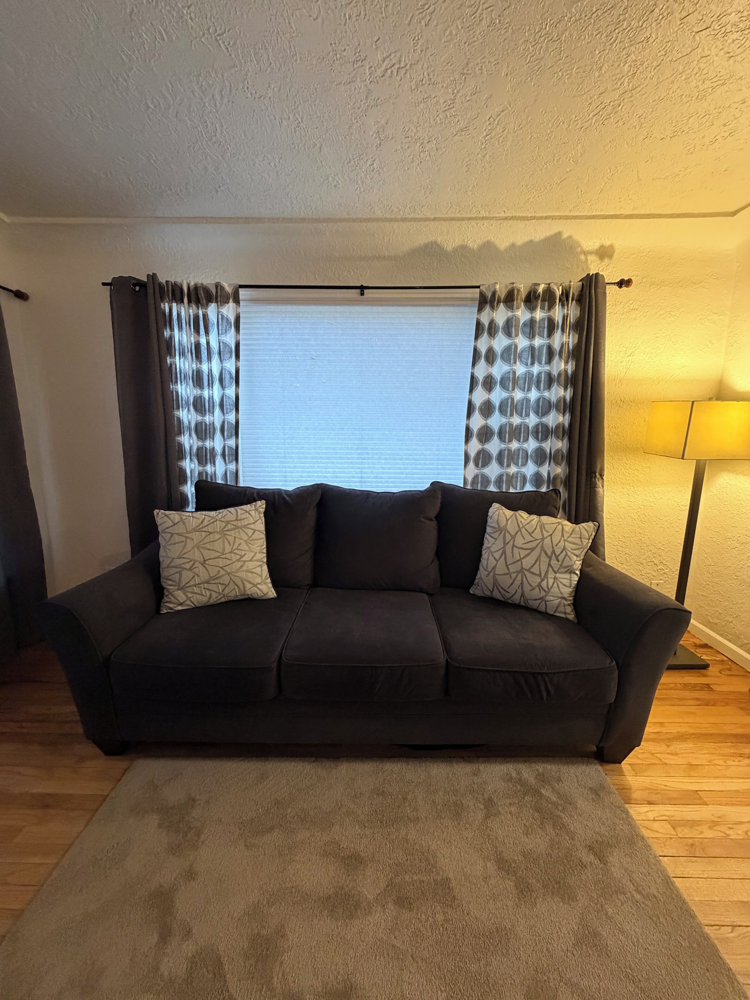 A dark-colored sofa with patterned cushions, a beige carpet, and a window with patterned curtains.