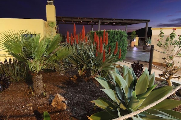 Property grounds - Hospederia Rural Los Palmitos (Nijar)