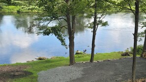 A tranquil lakeside scene with trees, a gravel path, and ducks swimming.