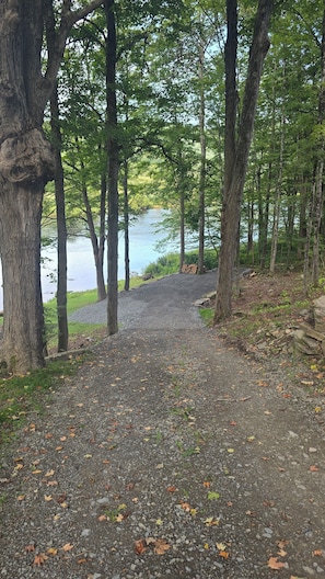 A gravel path leading to a body of water surrounded by trees.