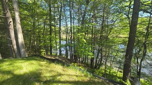 A forested area with a grassy slope leading to a body of water. - Rose's  RV Camping  - Private 2300' Riverfront Site on the West Branch Delaware (Starlight)