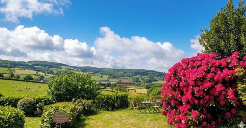 A rural landscape with rolling hills, a clear sky, and a bush of vibrant pink flowers.