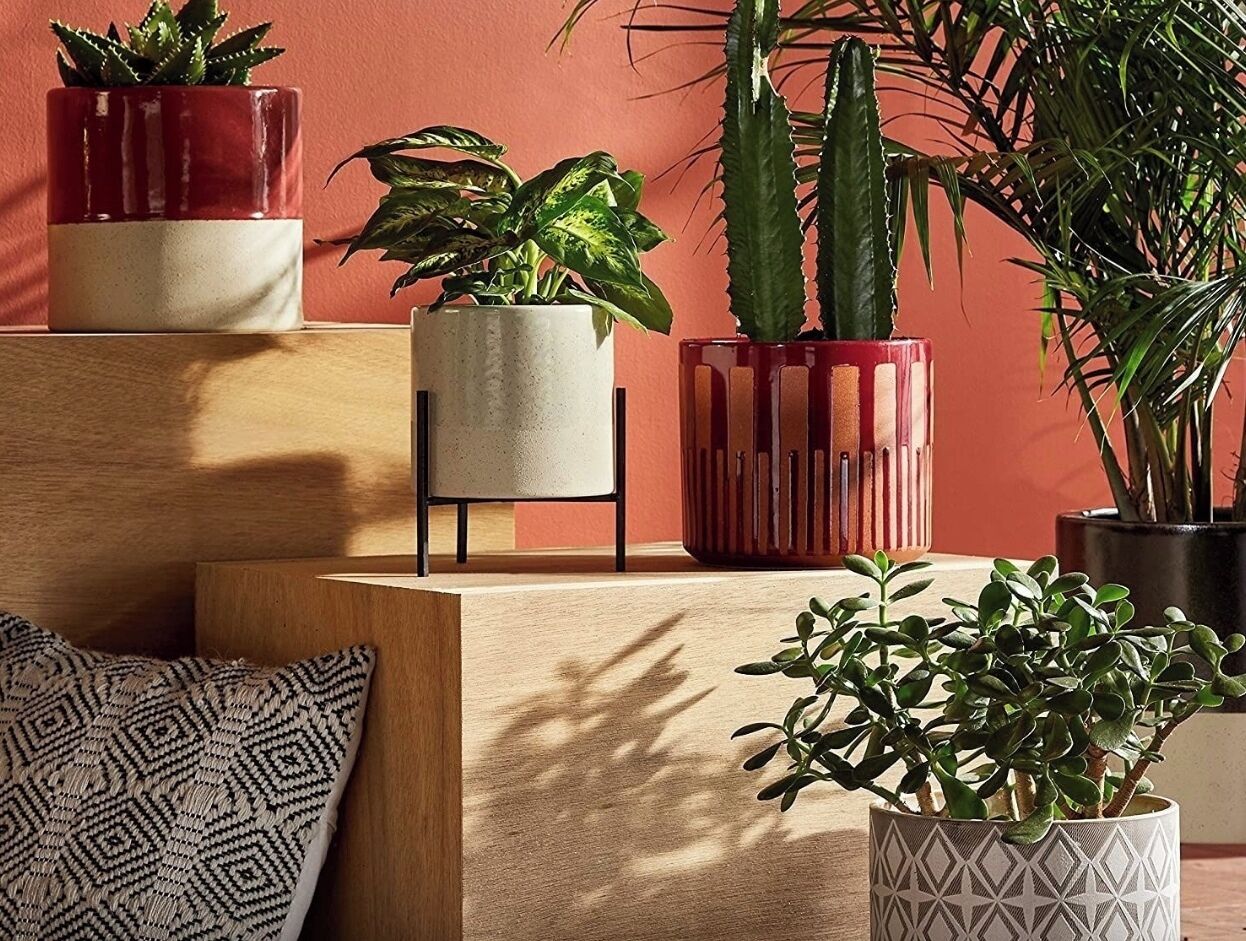 Standard Studio, Patio | Interior