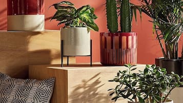 Standard Studio, Patio | Interior