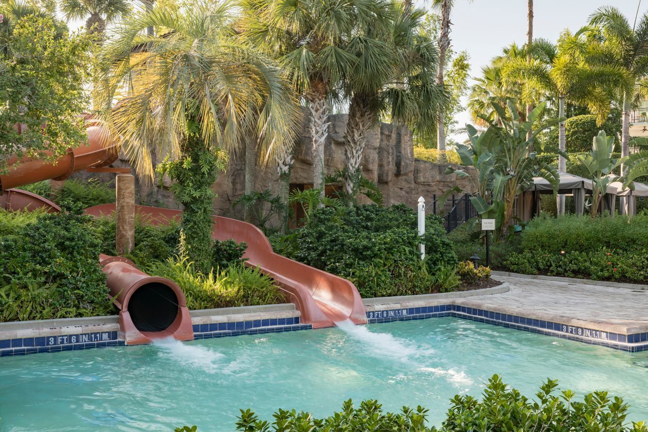 Une piscine avec un toboggan, entourée de palmiers et de verdure.