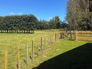 Property grounds - Tranquil Tui Pond Cottage located in peaceful rural setting close to Whanganui. (Fordell)