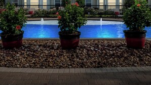 Una piscina con tres plantas en macetas al frente y un edificio al fondo.