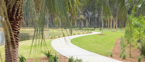 A curved pathway in a landscaped area with palm trees and grass.