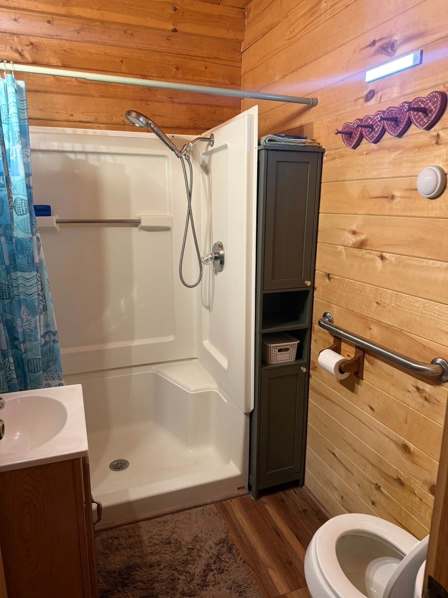 Hair dryer, towels, shampoo, toilet paper