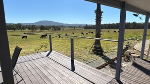 A wooden deck with a view of a fenced pasture with grazing cattle.