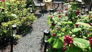 A garden patio with a gravel path, metal chairs, a small round table, and potted plants.
