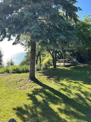 Un parque con un árbol grande, una mesa de picnic y vistas al agua.