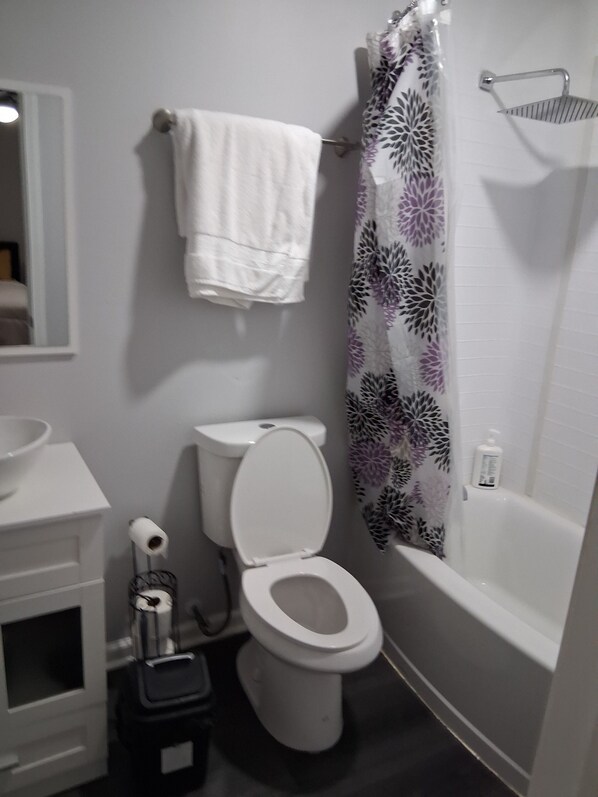 Bruser, hårtørrer, bidet, håndklæder