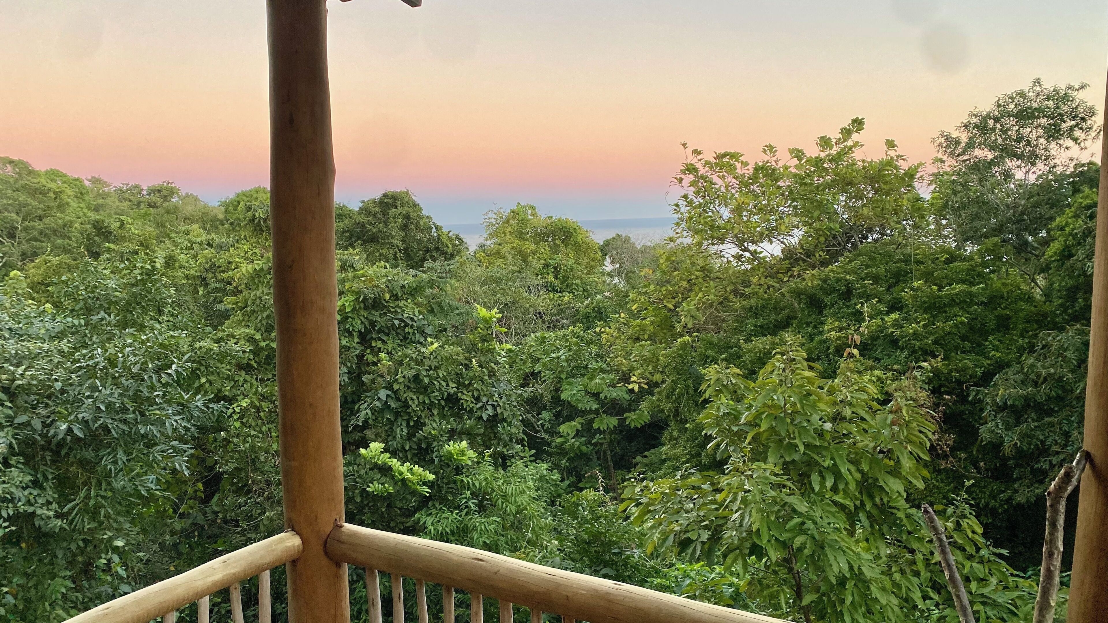 A balcony with a view of dense foliage and a distant horizon.