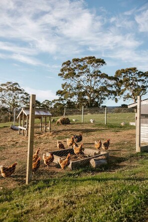Property grounds - Escape Two - Luxury romantic vineyard villa, sunset views & outdoor bath (McLaren Vale)