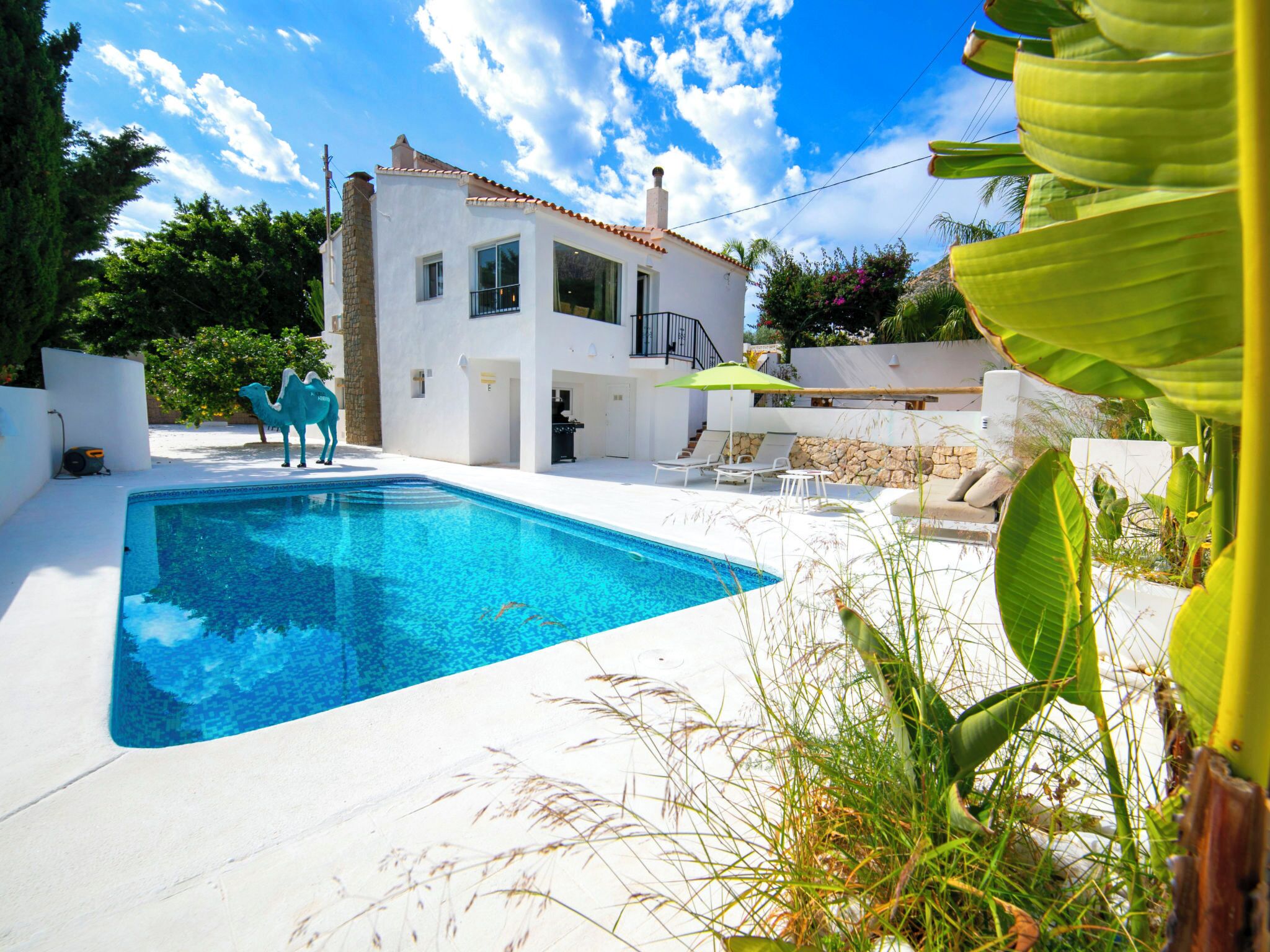 A modern house with a swimming pool, outdoor seating, and lush greenery.