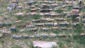 Ein gepflasterter Weg mit Stufen, der einen grasbewachsenen Hang hinaufführt.