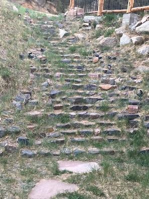 A stone pathway with steps leading up a grassy slope. - Modern Mountain Haven (Boulder)