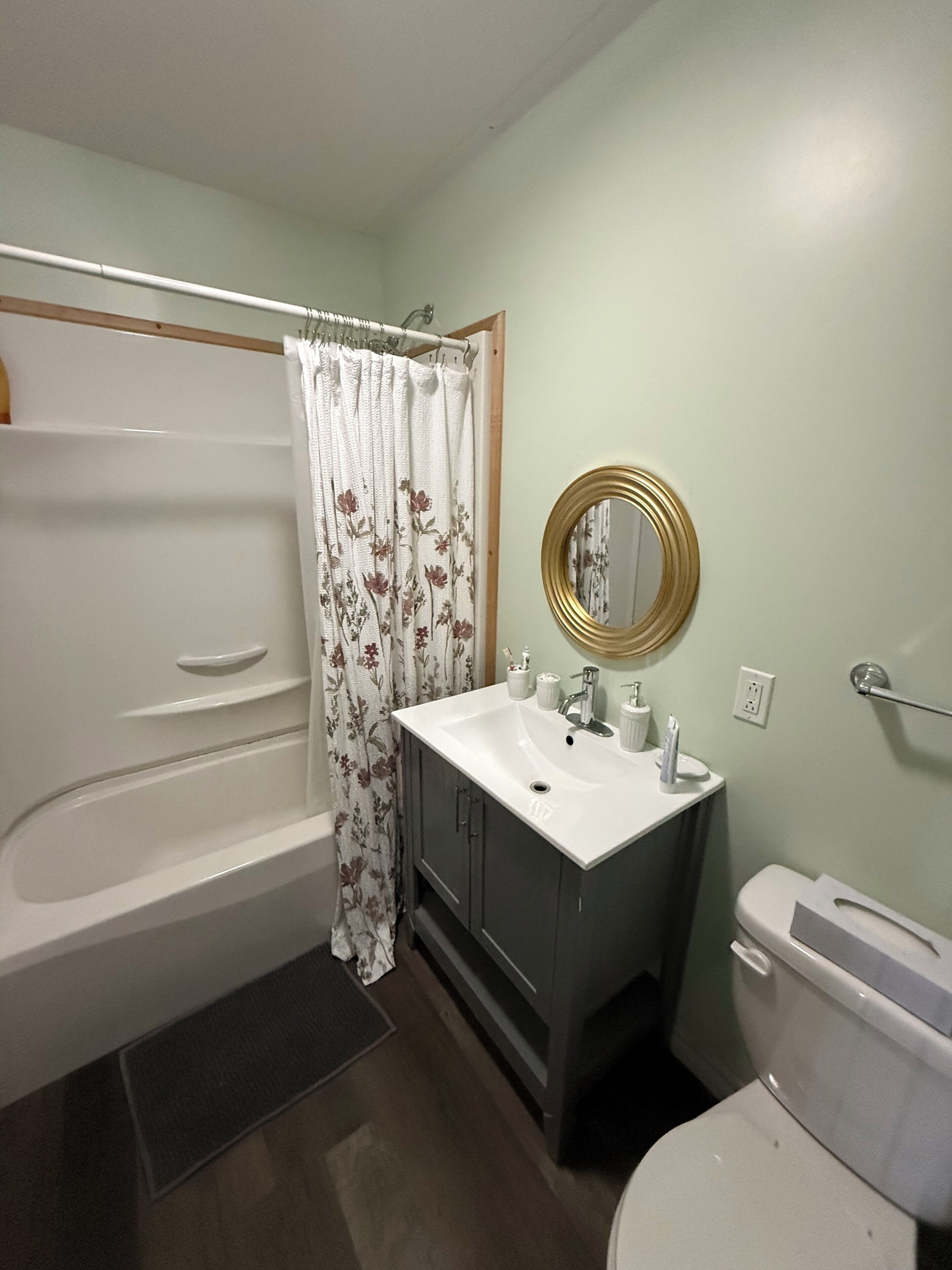 Hair dryer, towels, soap, toilet paper