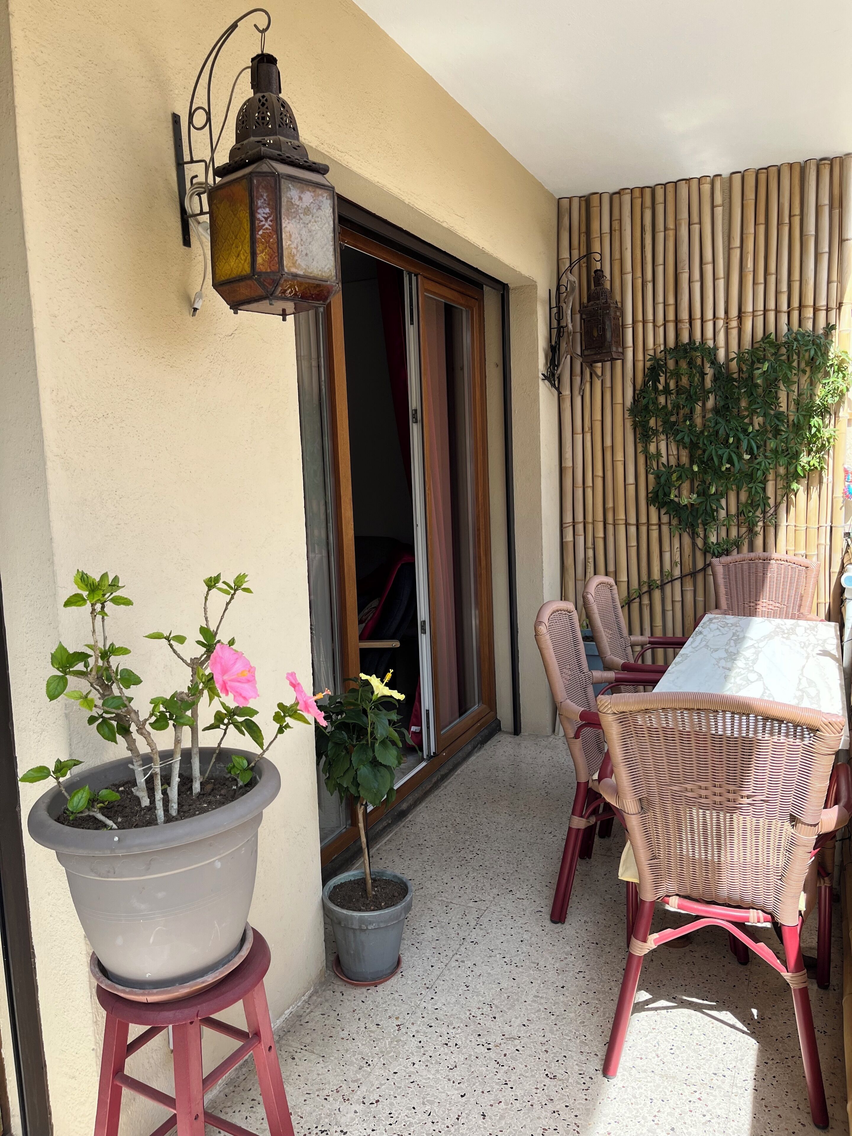室外用餐
