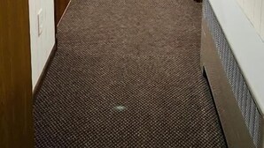 A long, narrow hotel corridor with wooden doors on both sides, carpeted flooring, and a ceiling light. - SANDS MOTEL (Boscobel)