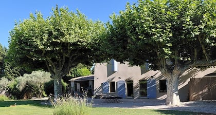The essentials in Provence