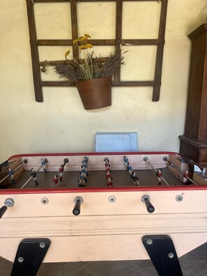 Game room - The essentials in Provence (Noves)