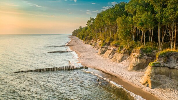 A beach with a wooden jetty, sandy shore, and dense forest. - Two-story Holiday Homes With Terraces (Mielno)