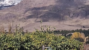 Paisagem montanhosa com um penhasco rochoso e vegetação escassa em primeiro plano.