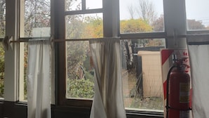 Quarto com vigas de madeira, janela com cortinas, extintor de incêndio e vista para árvores e um edifício lá fora.
