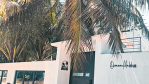 A building with a sign reading 'Oceana Maldives EST 2009' and a palm tree in the foreground. - Oceana surf Maldives - Kudahuvadhoo (Kudahuvadhoo,)