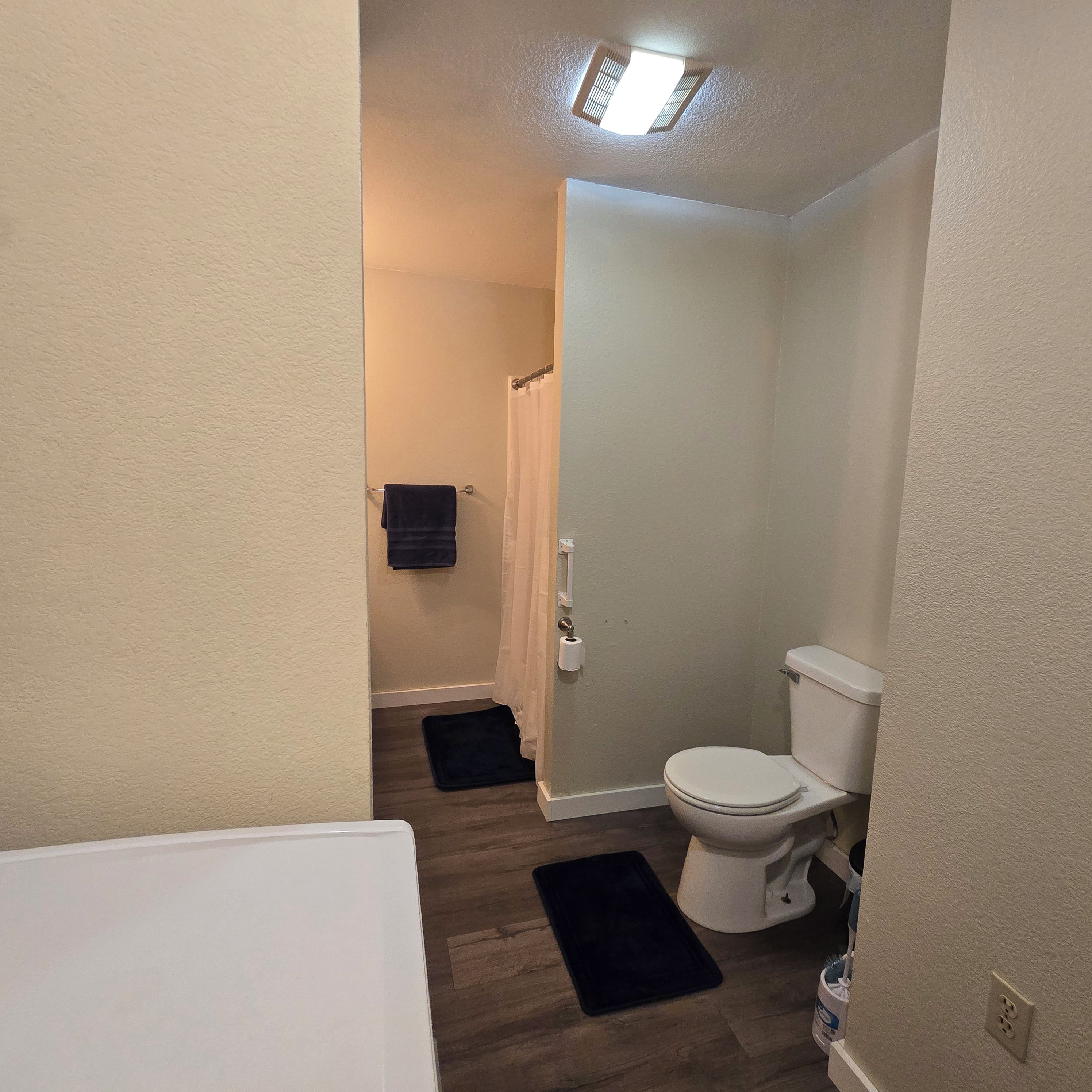 Une salle de bain avec des toilettes, un rideau de douche et un tapis de bain de couleur foncée.
