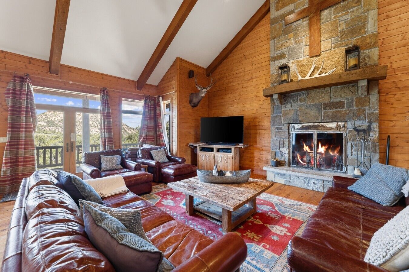 TV, fireplace, ping pong, books