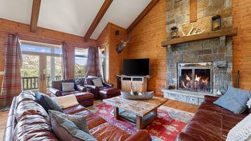 TV, fireplace, ping pong, books