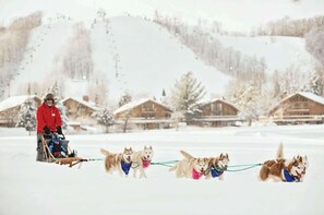 Wintersport/Ski
