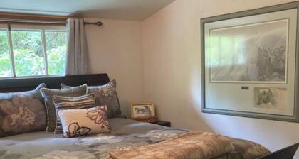 Cozy Cabin by a Creek. Pet friendly!