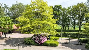 Ein angelegter Garten mit befestigtem Weg, einem großen Baum und einem Metallzaun.