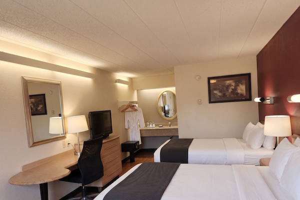 Standard Double Room | Egyptian cotton sheets, premium bedding, desk, free WiFi