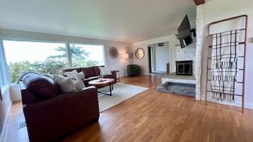 Smart TV, fireplace, books